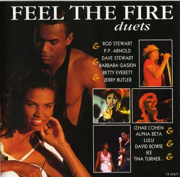CD Dave Stewart & Barbara Gaskin a.o. Feel The Fire - Duets Laserlight Digita - Bild 1 von 1