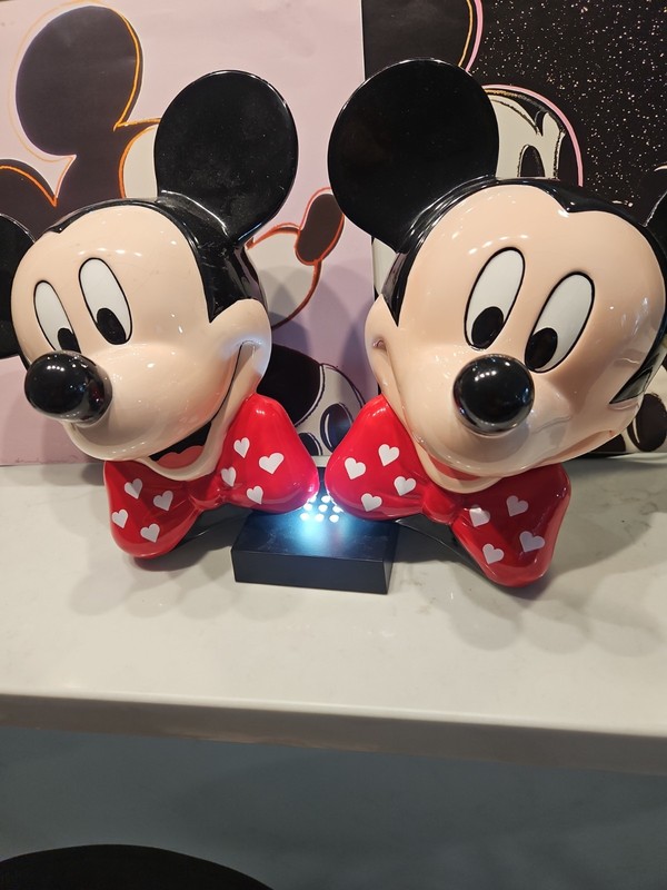 2 Two Disney Mickey Mouse Teleflora Gift "Mickey and Flowers" #29
