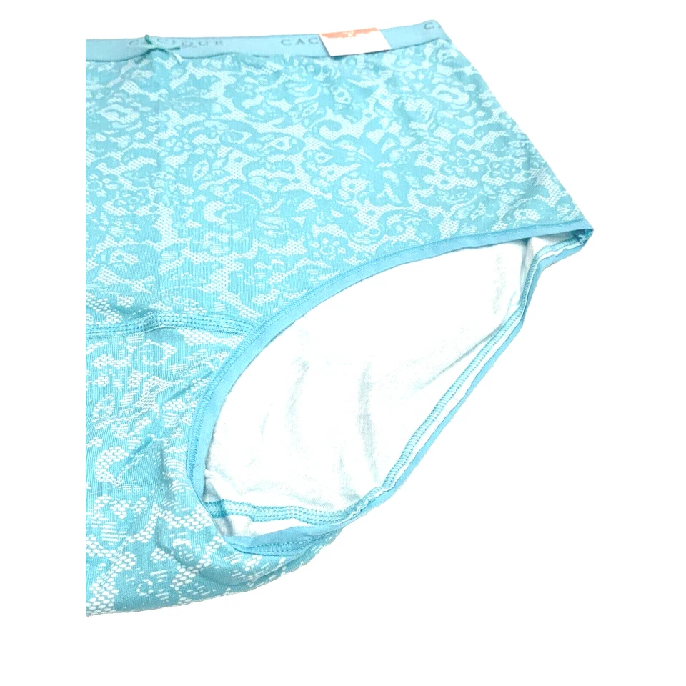 全新带标签 Lane Bryant Aqua 蓝色和白色高腰棉质内裤 18 20 1X — 第 4/4 张图片