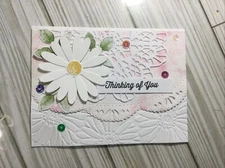 Handmade CARD KIT Of 4  w/ Multiple Sentiments - Daisy
