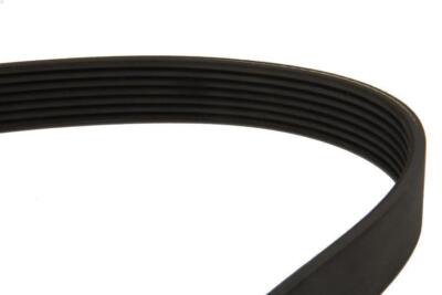 V-Ribbed Belt DAYCO 7PK1076