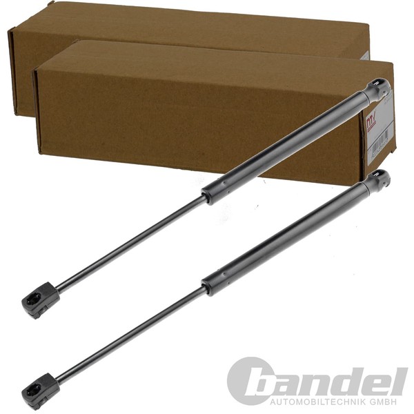 2X NTY Gasfedern MOTORHAUBEN-LIFTER Passend FüR KIA Carnival | AE-KA-014-image