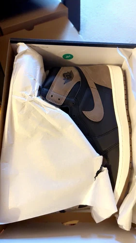 Jordan Retro 1 Palomino DZ5485 020