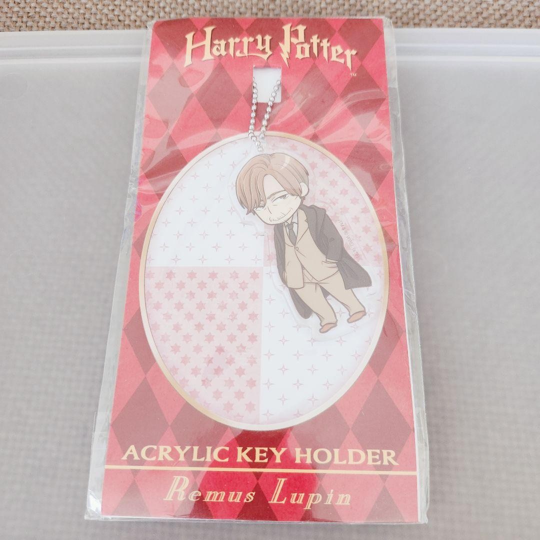 Harry Potter Remus Lupine Acrylic Keychain