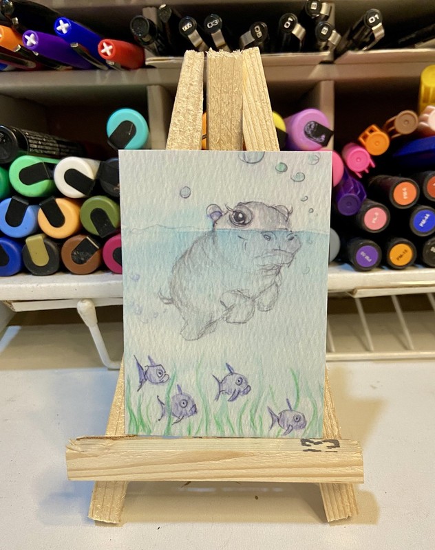 Aceo Original Limited Edition Print Hippo Sea life 2.5 x 3.5 Melissa Stagi