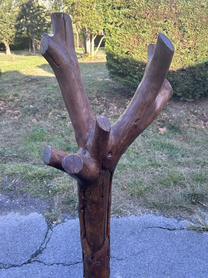 Porte Manteau Art Populaire Ancien Bois Arbre Perroquet Patère Bergerie Campagne - Photo 2/4