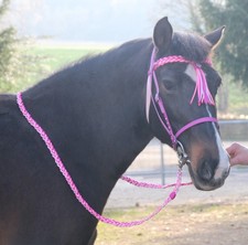 Wunderschöne Showtrense TRENSE Trensenzaum + Zügel Westerntrense  Cob UNIKAT