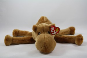 ty humphrey the camel