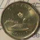 Picture 5 of 6