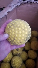 Used 4 Dozen (48) Yellow Dimpled Softballs 12” Inch Pitching Machine, Practice,