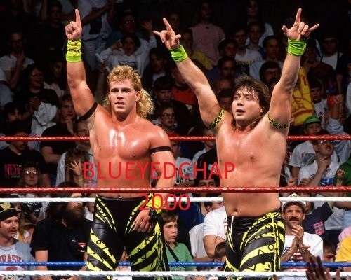 ROCKERS SHAWN MICHAELS & MARTY JANNETTY WRESTLER 8 X 10 WRESTLING FOTO WWF AWA - Bild 1 von 1