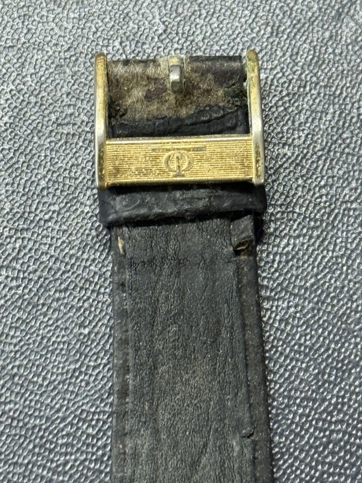 Picture 5 of 11