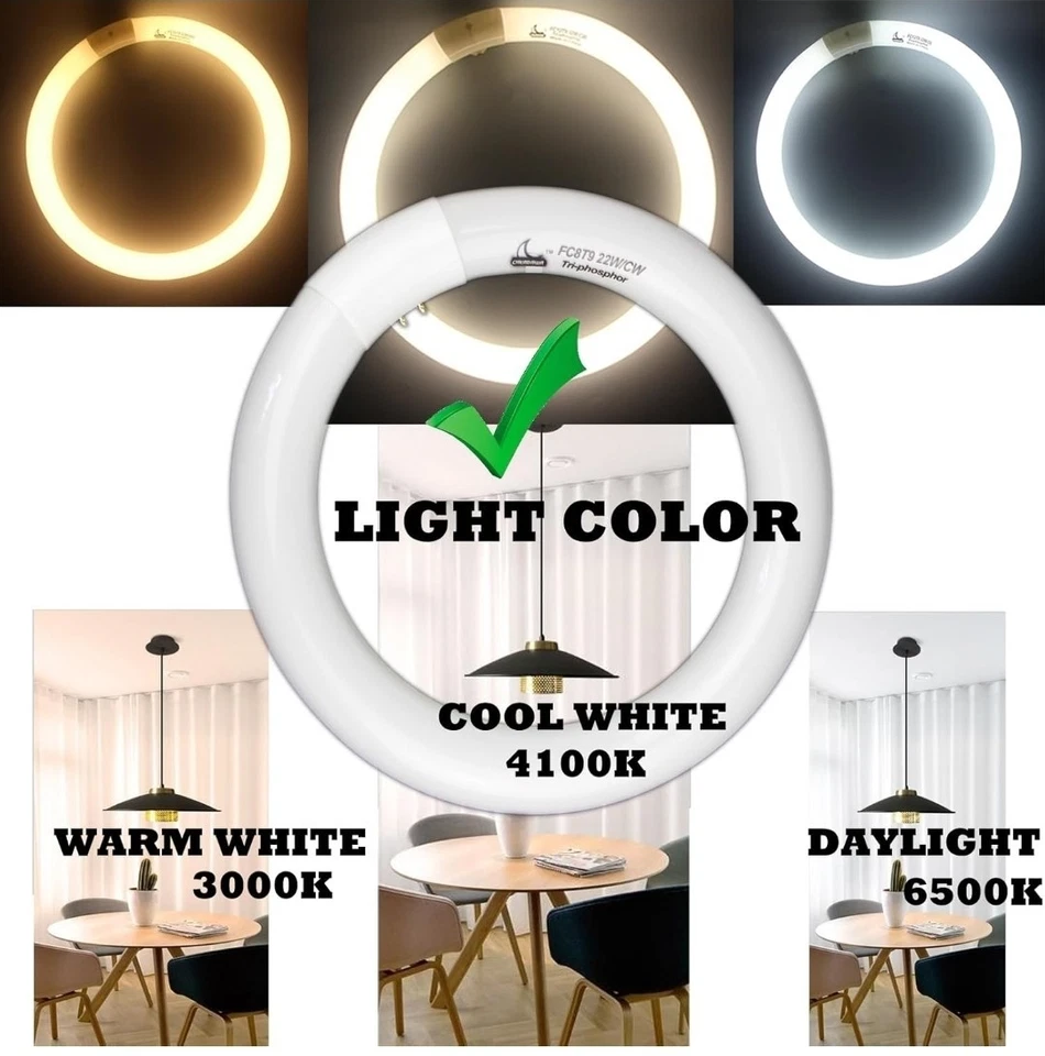 FC8T9/CW Circular Fluorescent Light Bulb 8 Inch Round T9 22W Circline Bulbs New - Image 4 of 4