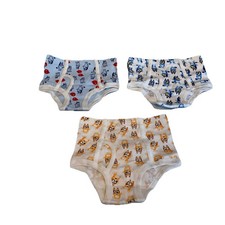 Hanna Andersson Boys 3-Pack Bluey Organic Cotton Classic Briefs XS
