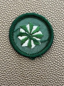 Girl Scout Merit Badge Juniors 1970s Active Citizen