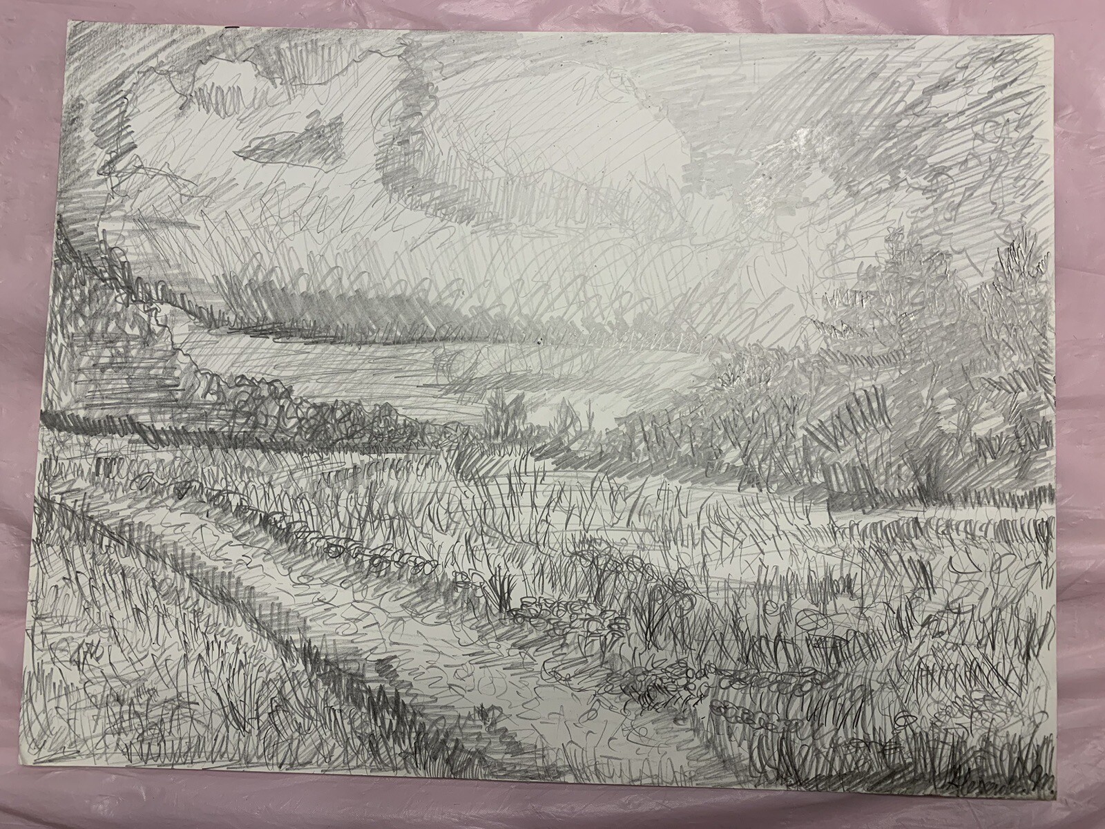 Picture 5 of 5