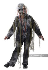 California Costumes Worm Wishes from the Grave Zombie Halloween Costume 3120-087