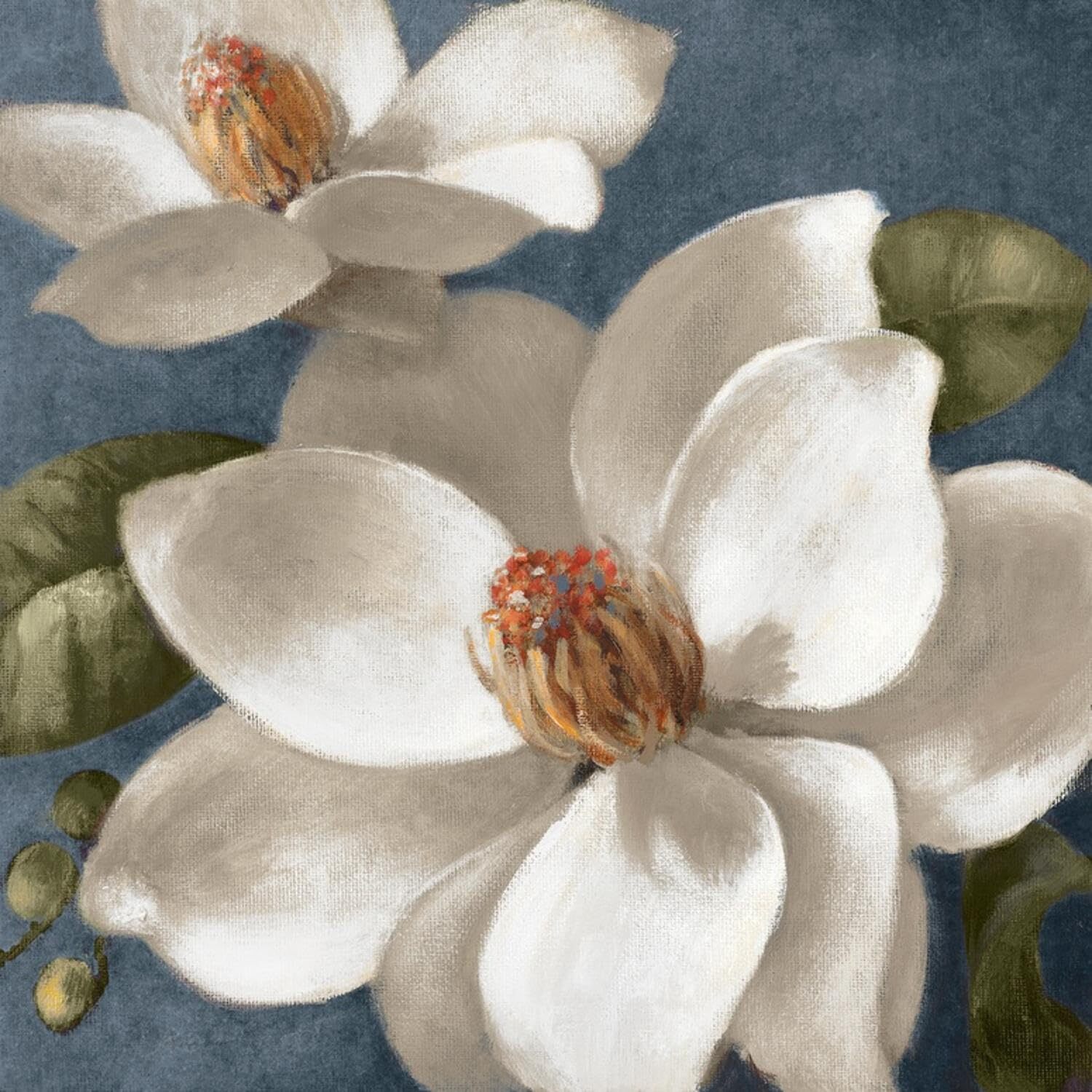 Lanie Loreth Magnolias on Blue I Wall Art Print - 24x24 Inches-image