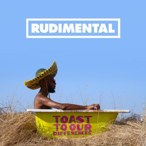 Rudimental Toast to Our Differences (Vinyl LP) Deluxe  12" Album