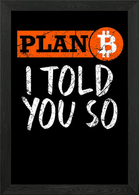 Bitcoin Plan B I Told You Gerahmtes Wandbild Poster Leinwanddruck Bild