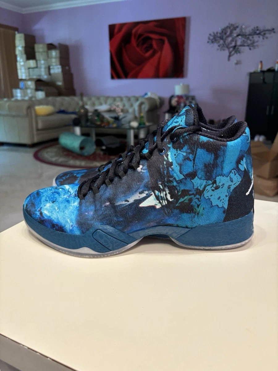 Jordan 29 Year of the Goat | eBay