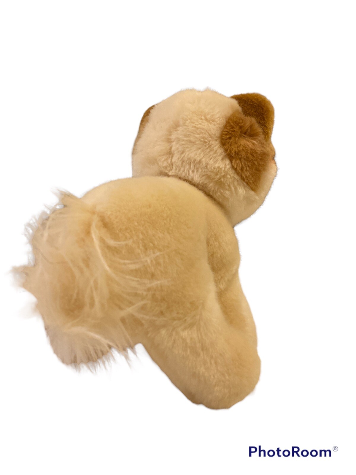 Gund  Boo "The World's Cutest Dog"  Pomeranian 9&rdquo; Plush Animal EUC