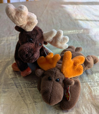 2 Beanie Babies Collection  TY Moose 