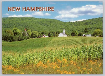 Postcard Farm and Crops, Summertime in Surry New Hampshire, Continental