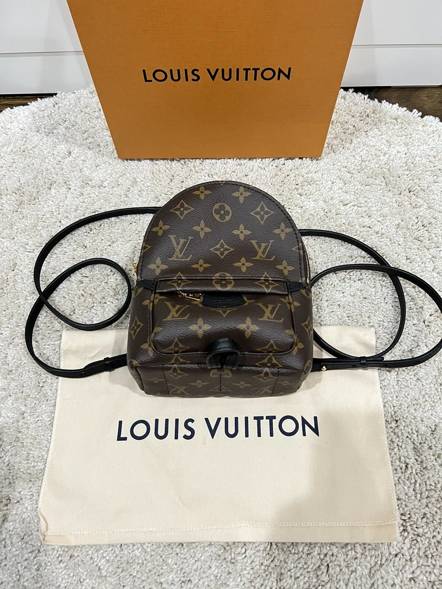 Louis Vuitton Palm Springs Mini Backpack M41562–