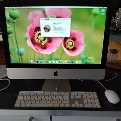 Apple iMac 21,5 Zoll Intel Core i5 2.5 GHz, 4 GB RAM,  500GB mit Tastatur und Ma