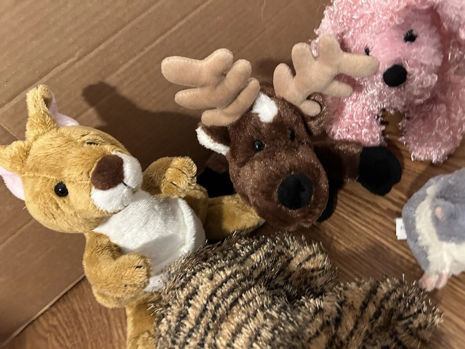 Webkinz Plush Lot Kangaroo, Reindeer, Pink Poodle, Tiger & Hampster NO CODES - Image 2 of 4