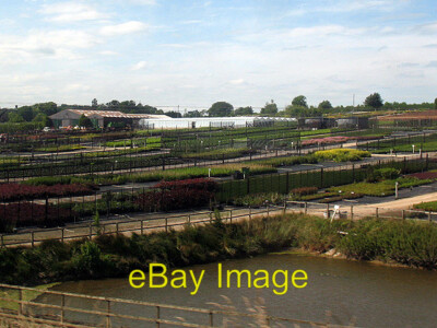 Photo 6x4 Johnsons garden centre, Cattal A view from the adjacent railway c2009