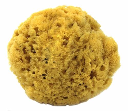 Natural Yellow Sea Sponges by Spa Destinations (Choose Size) - Afbeelding 1 van 4