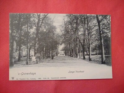 City Of Hauge Netherlands Park Couple Walking
