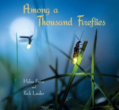 Helen Frost Among a Thousand Fireflies (Hardback) Step Gently, Look Closely