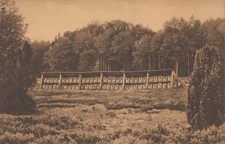 Ak, Ansichtskarte, Lüneburger Heide - Bienenstand (MB-03)1025