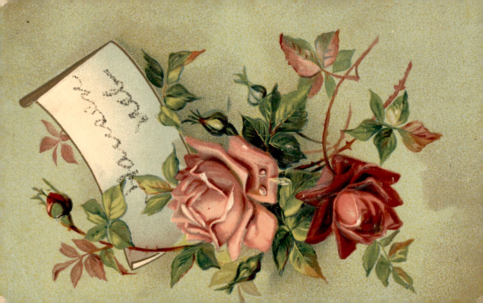 multilingual, translations, Universal Postal Union, unique code Postcard