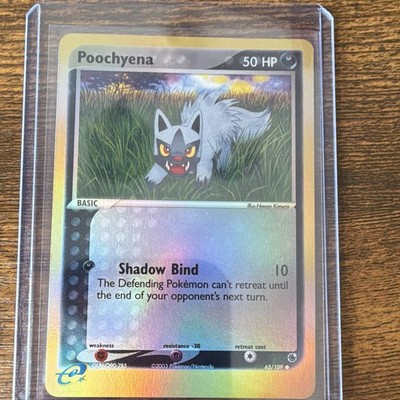 Pokemon TCG Poochyena 65/109 EX Ruby & Sapphire Reverse Holo Common Basic 50 HP