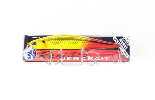 Leurre Jerkbait Duo Realis 130S SW – Coulant, 130mm, 24.5g, Leurre Mer
