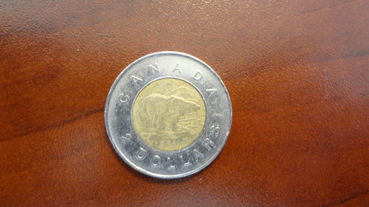 2 DOLLAR CNADIAN COIN 1996 ELIZABETH II D G REGINA | eBay