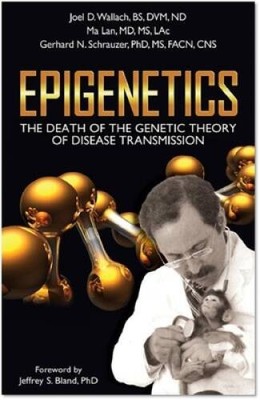 Epigenetics: The Death of the Genetic Theory of Disease Transmission - VERY GOOD