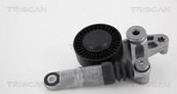 Triscan Spannarm, Keilrippenriemen 8641 293038 FüR Audi