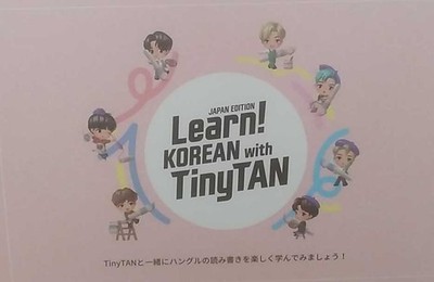 LERNEN!KOREANISCH MIT TING HELLBRAUN gebraucht