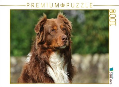 CALVENDO Puzzle Ein Motiv aus dem Kalender Bekannt wie ein bunter Hund. Australi