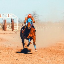 Spotform Horse Racing System