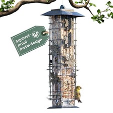 Perky-Pet 336-1SR Squirrel-Be-Gone Squirrel Proof Bird Feeder, 2LB, Outdoor Wild