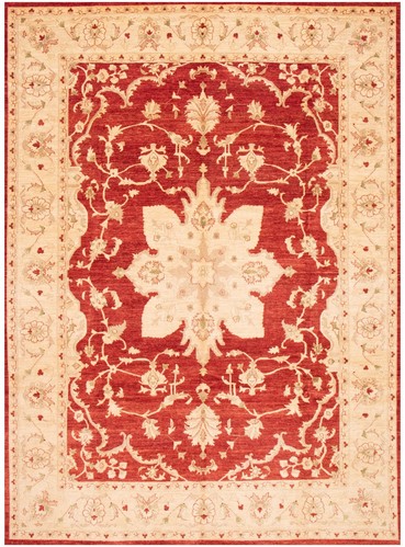 Traditional Hand-Knotted Bordered Area Rug 9'10" x 13'7" Wool Carpet