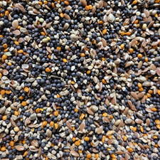 CANARY CONDITIONING SEED aviary conditioner bird food canaries vitamin feed mix
