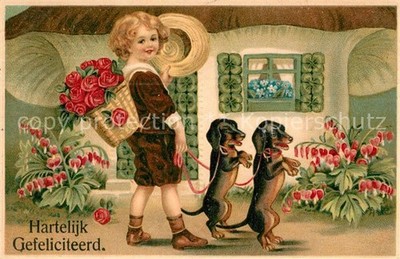 Dachshund Dachshund Teckel dogs dogs Chiens Cani congratulations child roses shamrock 