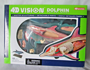 4D Master 4D Vision Dolphin Anatomy Model Ages 8+ 2008 Aquatic Fish Ocean